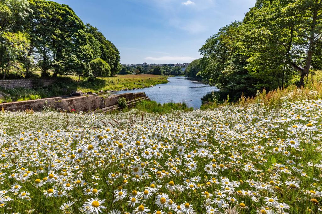 Country view of River Don and city of Aberdeen...