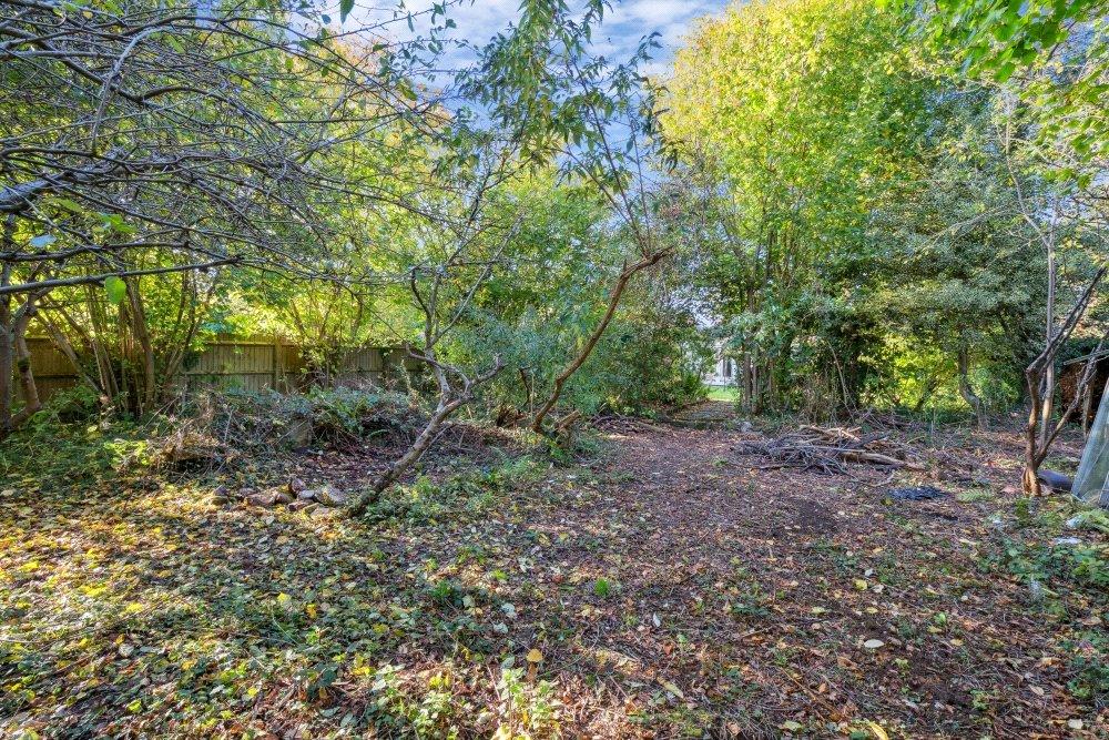 Rear Of Garden