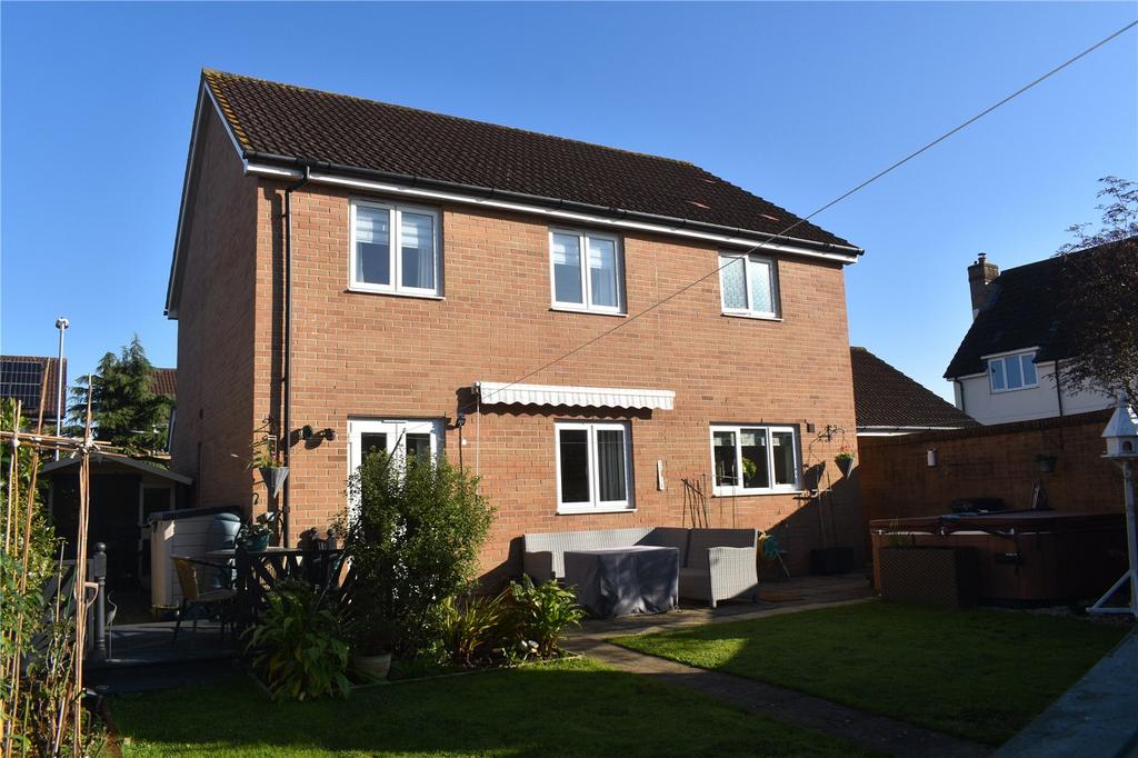 Back