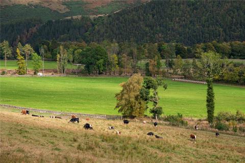 Land for sale, Land at Yair Home Farm, Galashiels, Scottish Borders, TD1