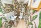 © Webbs Estate Agents © (12 of 69).jpg