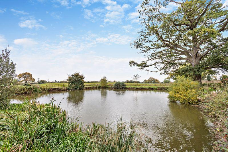 Pond and View