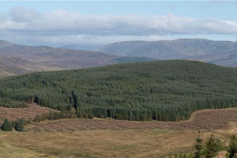 Land for sale, Glen Moy Woodlands, Bridgend, Angus