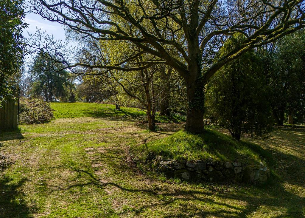 Tinkers Castle-APR25-Drone-05.jpg