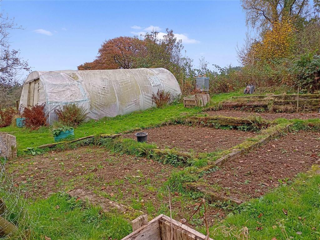 Polytunnel &amp; Veg Patch