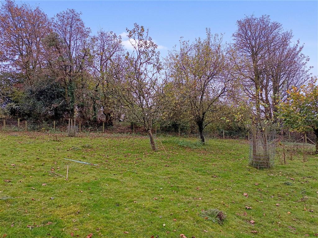 Small Orchard Area