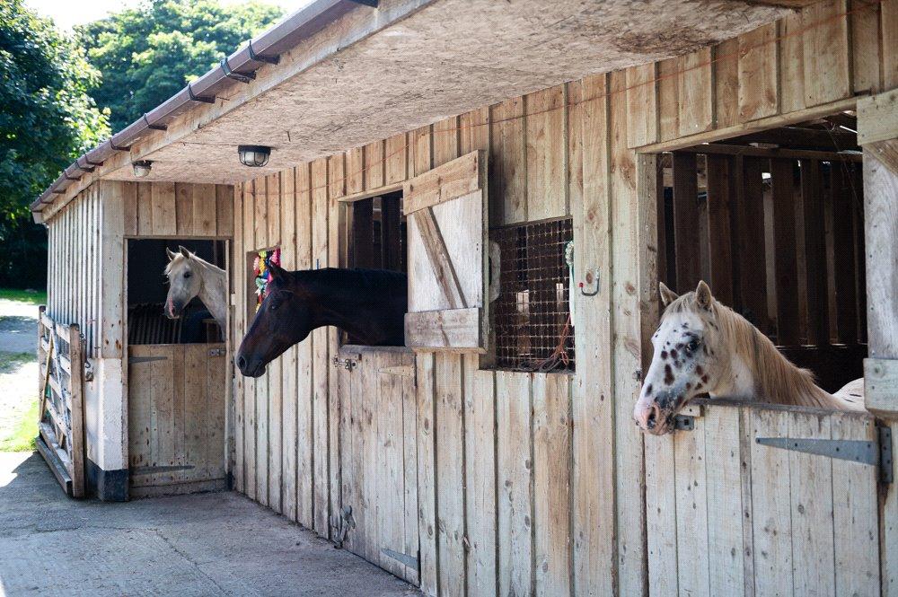 Stables