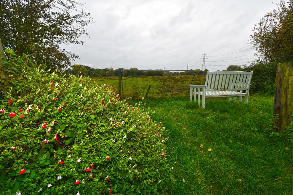 View At Back of Garden