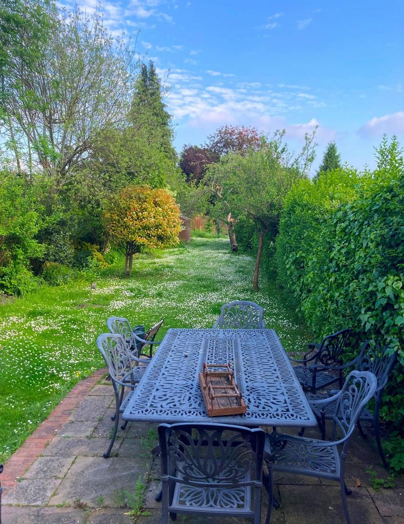 Summer Garden Photo