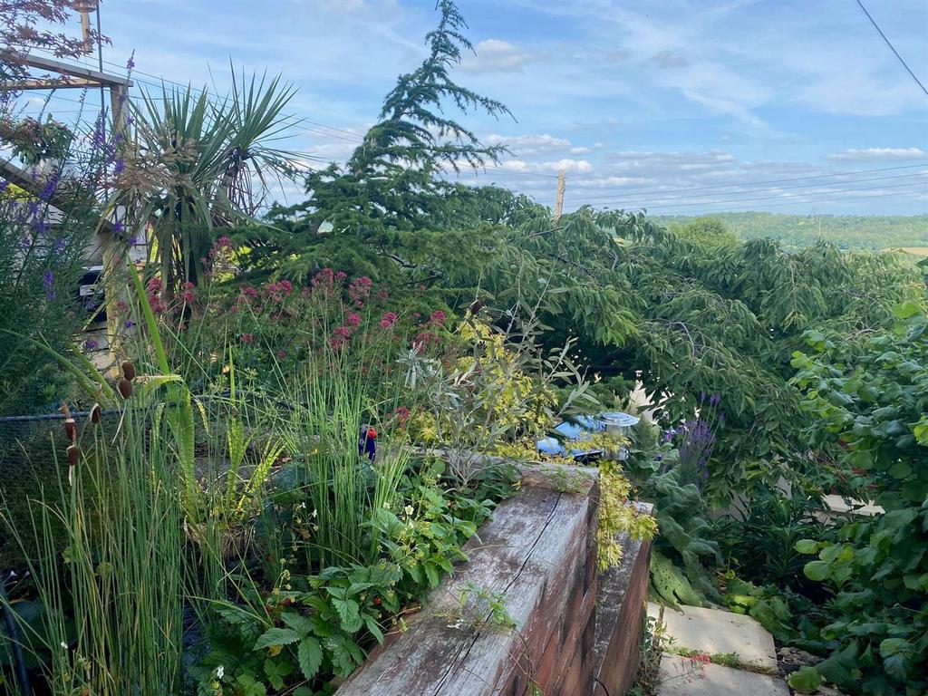 Garden view, garden
