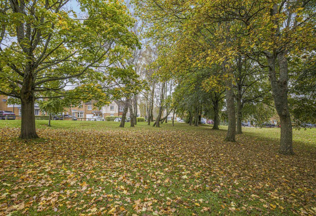 Communal Gardens