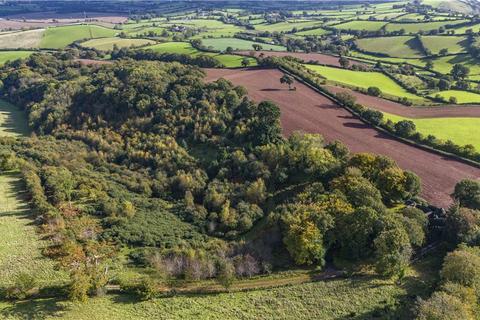 Land for sale, Lot 2: Land At Mamhead Park, Mamhead, Exeter, Devon, EX6