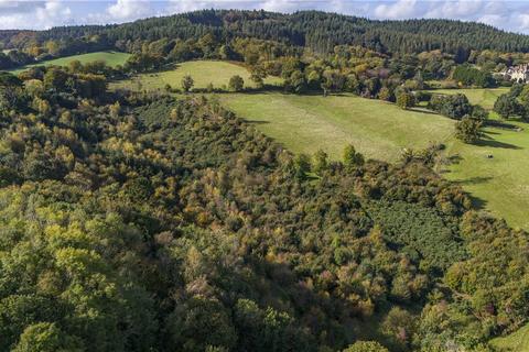 Land for sale, Lot 2: Land At Mamhead Park, Mamhead, Exeter, Devon, EX6