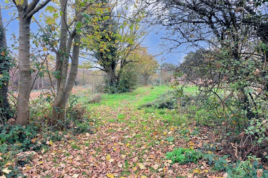 Heathland Walks