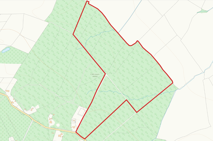 Collinpark Wood plan