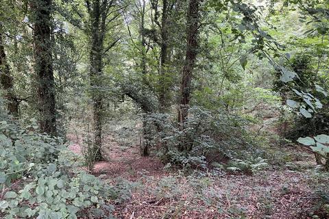 Woodland for sale, Upleadon GL18