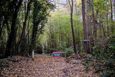 Woodland for sale, Etchden Road, Ashford TN26