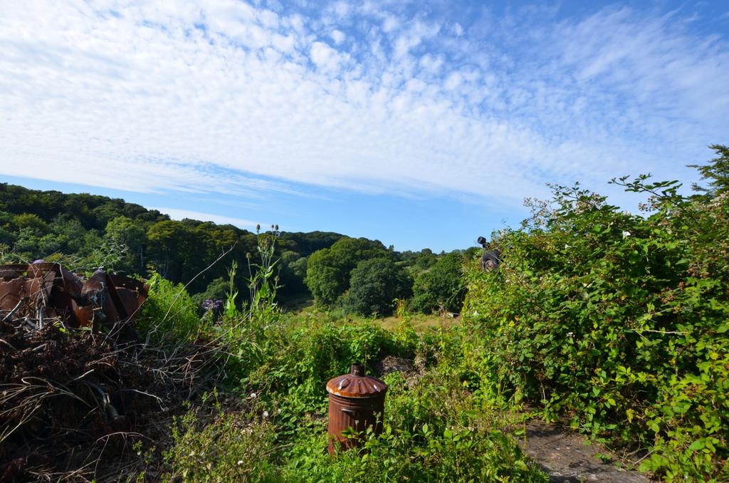 Dsc 5077
