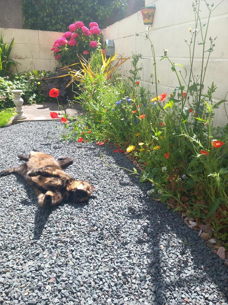 Flower Beds