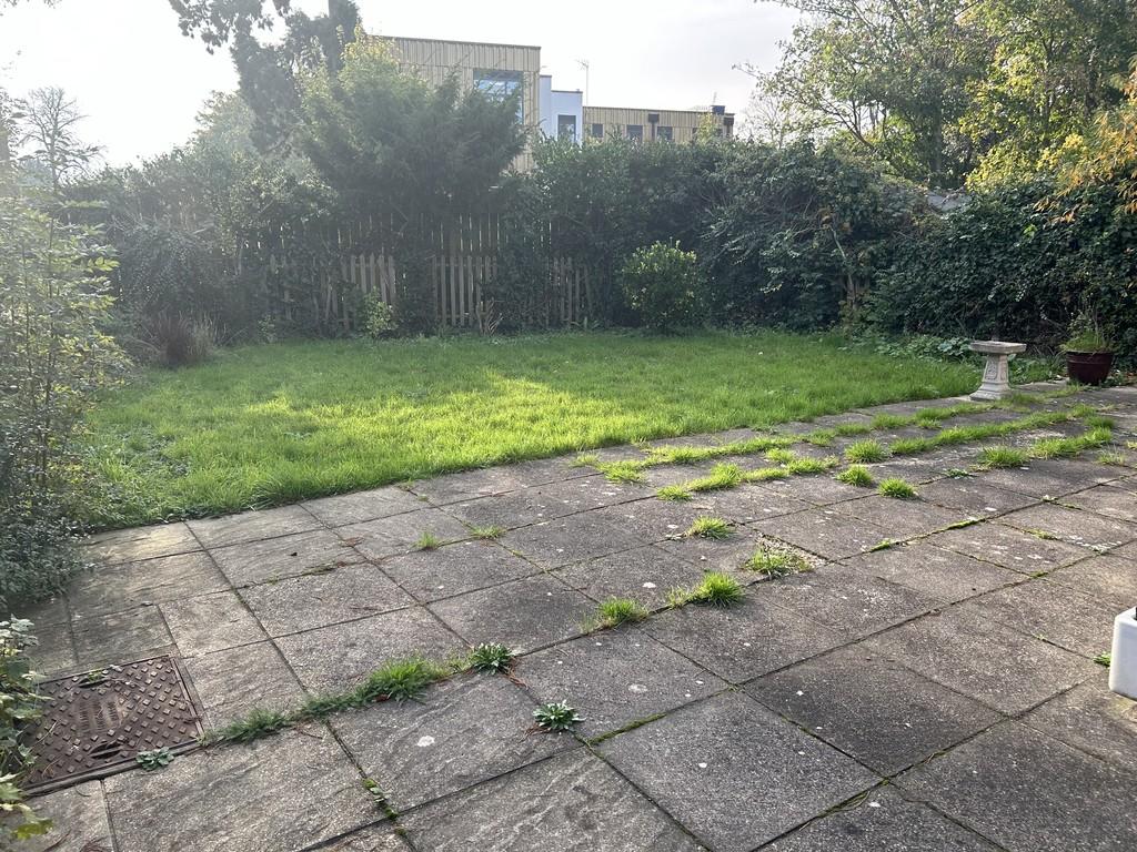 Img 1947