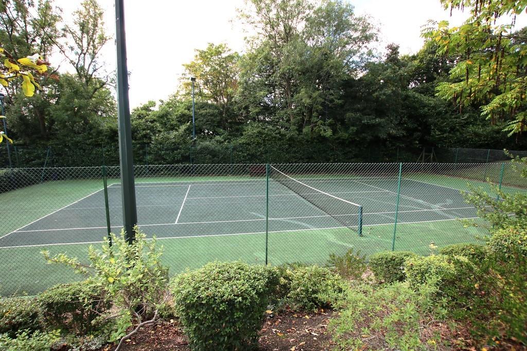 Tenins court
