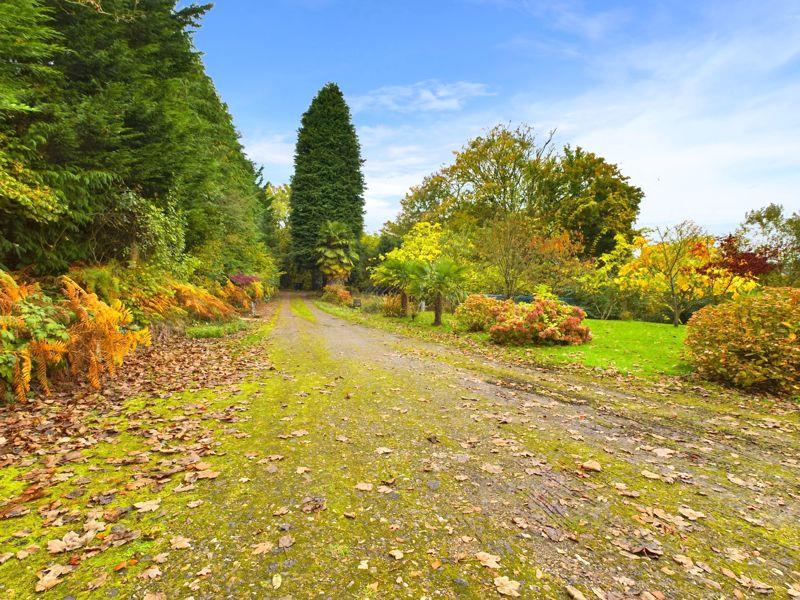 Driveway