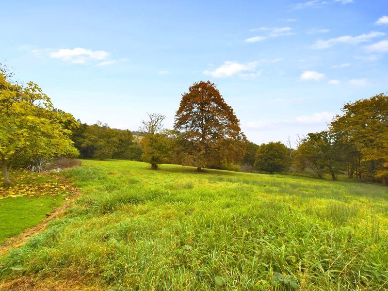 ADJACENT FIELD &...
