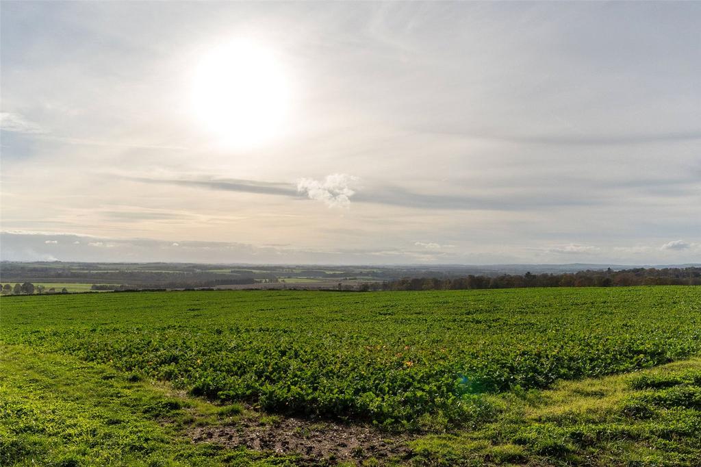 Edington Hill