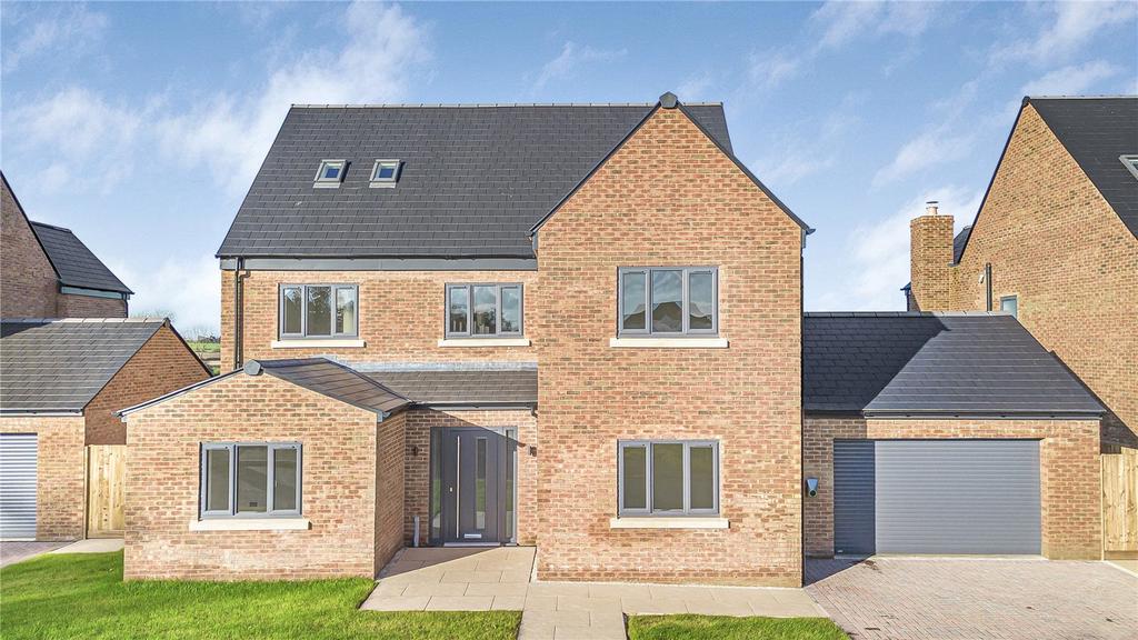 Picture 1