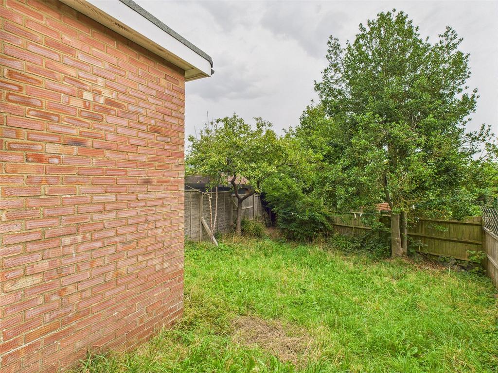 Back Garden