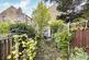 Albert Road -007.jpg