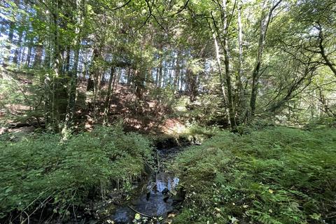 Woodland for sale, Blackmill CF35