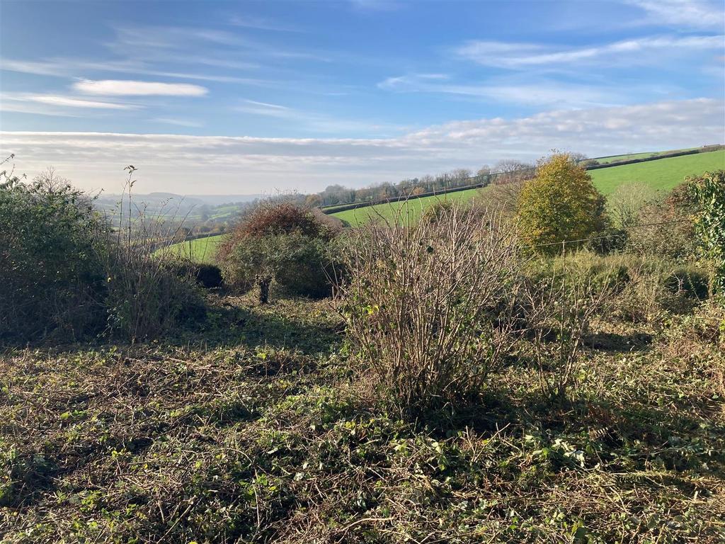 Ugborough Land5.jpg