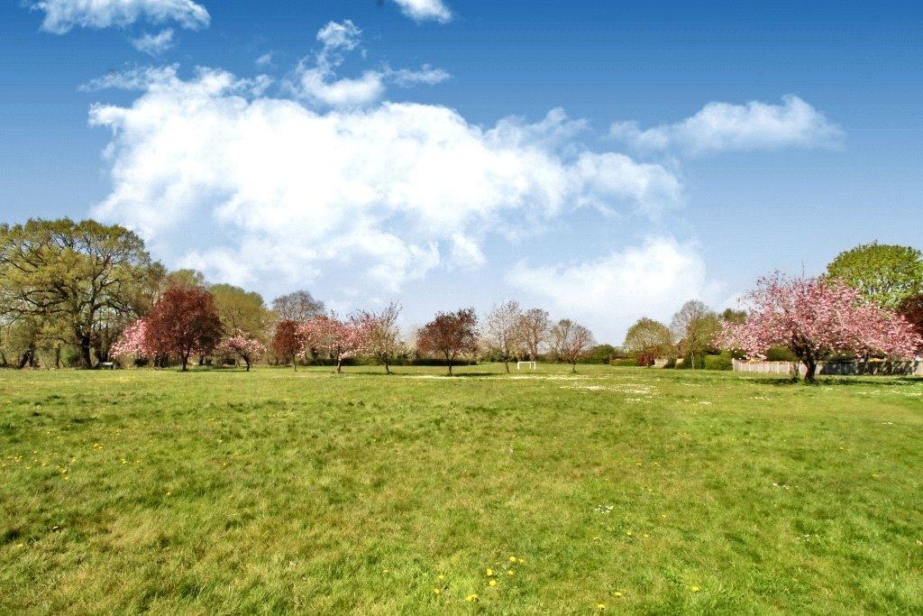 Communal Grounds