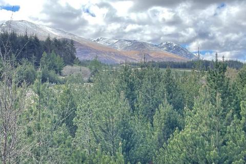 Land for sale, Xmas Tree World 4, Spean Bridge, Fort William