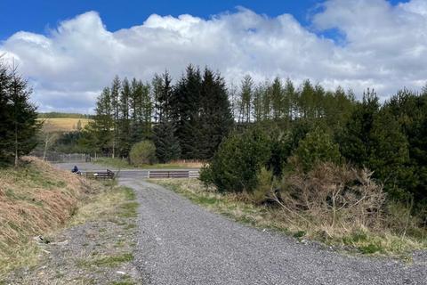 Land for sale, Xmas Tree World 4, Spean Bridge, Fort William