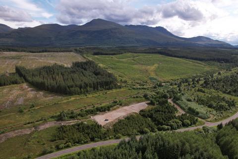 Land for sale, Xmas Tree World 4, Spean Bridge, Fort William