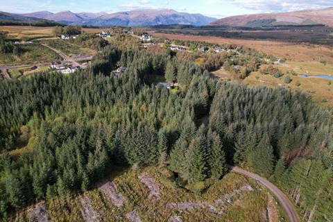 Land for sale, Heritage Woodland Plot 7, 0.5 Acres, Spean Bridge