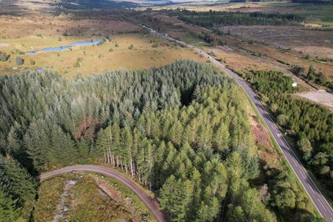 Land for sale, Heritage Woodland Plot 7, 0.5 Acres, Spean Bridge