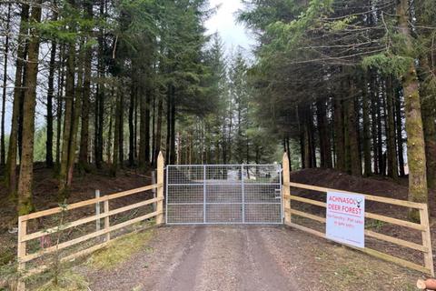 Land for sale, Fox Glove Woodland, Spean Bridge, Spean Bridge, Highland, PH34 4EX