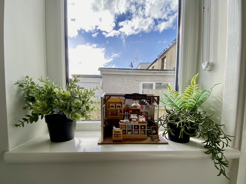 Kitchen windowsill