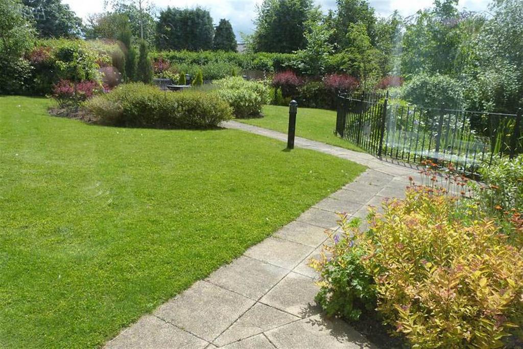 Communal Grounds