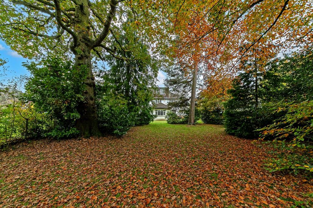 26 Homewood Road-22.jpg