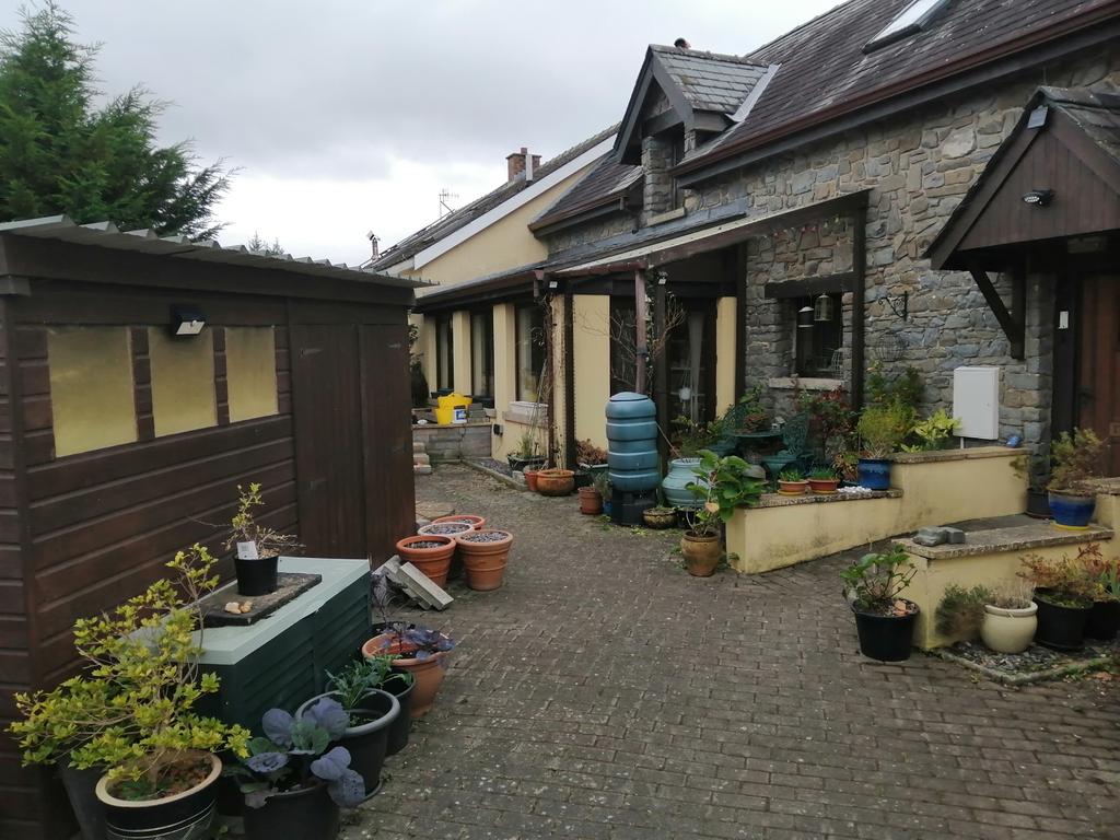 Courtyard/garden