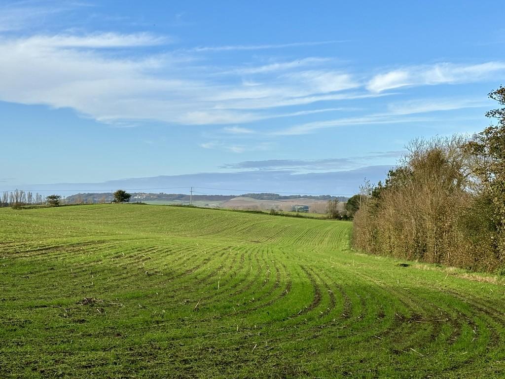 View behind plot