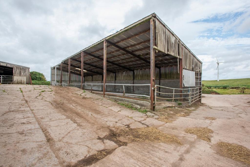 Lot 1