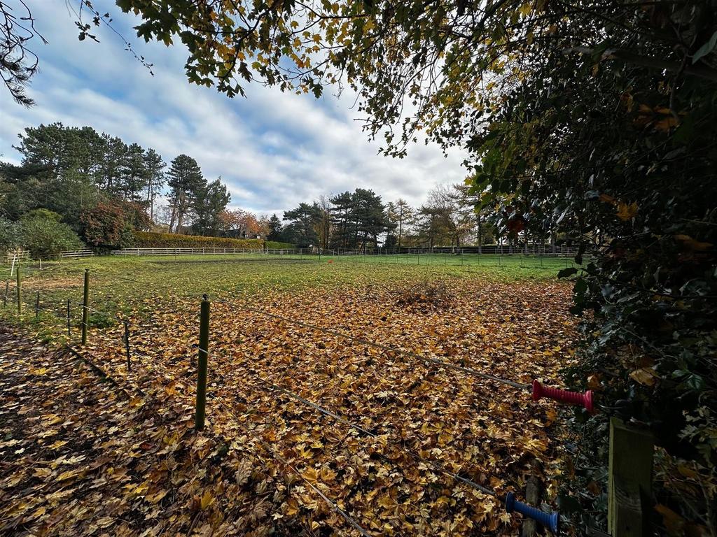 Newfield3.jpg