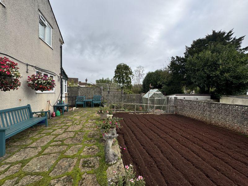 Veg plot