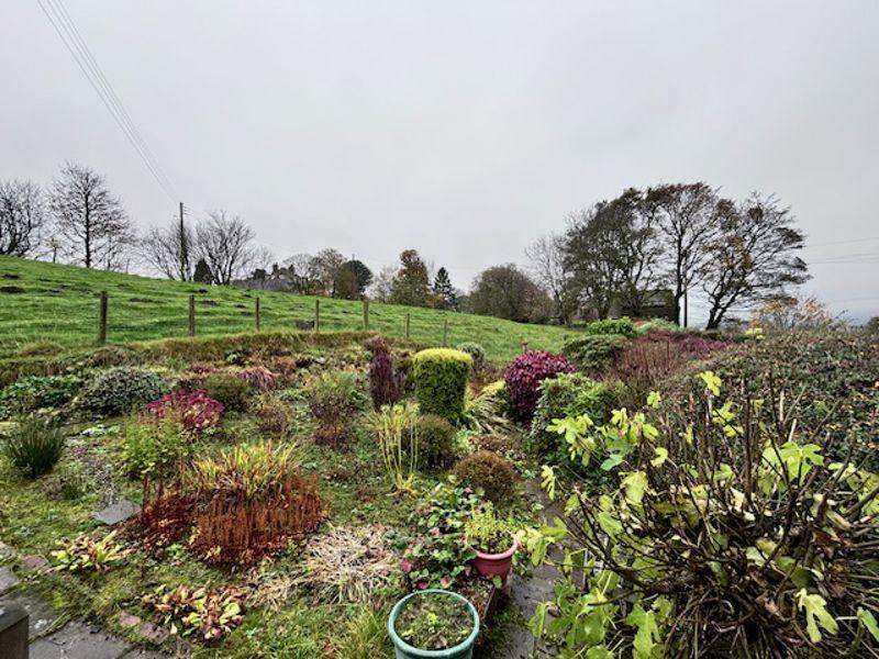 Side Garden &amp; Field