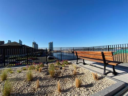 Communal Terrace